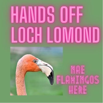 Loch Lomond National Park and the fight to stop Flamingo Land Ltd developing the shore at Balloch. Ross Greer Scottish Green Party MSP is leading the fight. Hands Off Loch Lomond.