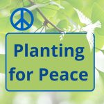 Planting for Peace. Scottish CND. Peace Garden. Glasgow Botanic Gardens