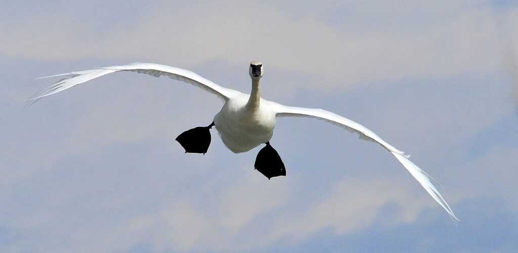 You’ve Landed. Welcome to IndyPodcasters.